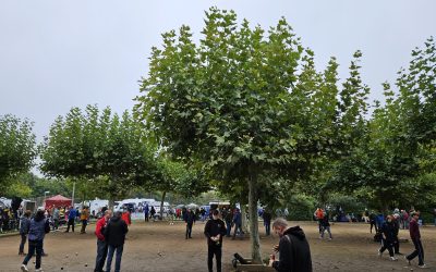 Groß-Gerau Samstag